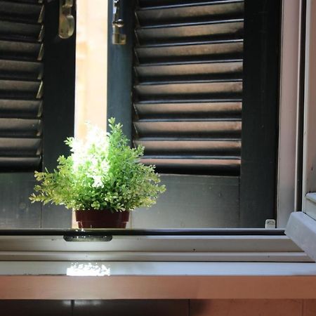Colosseum New Charming Apartment Roma Esterno foto